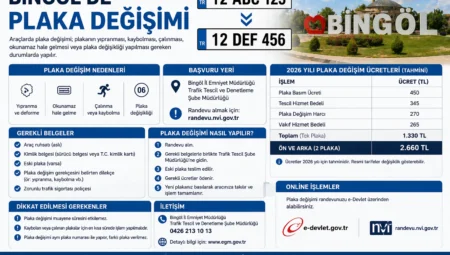 Bingöl’de Plaka Değişimi